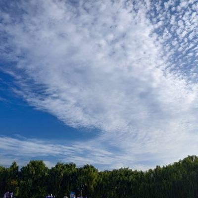 梦回大清女生版手游下载