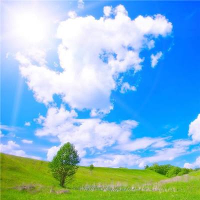灭世孙悟空游戏