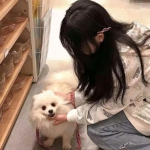 大蓝手游斗破天穹下载